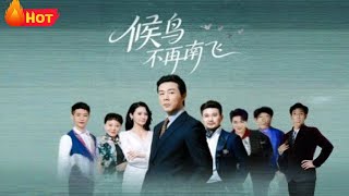 【高清全集】《候鸟不再南飞》#江山 #都市 #男频 #逆袭 #drama #反转
