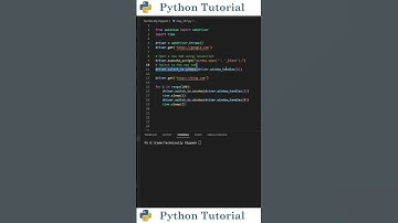 Create/Switch Tabs With Selenium | Python Tutorial