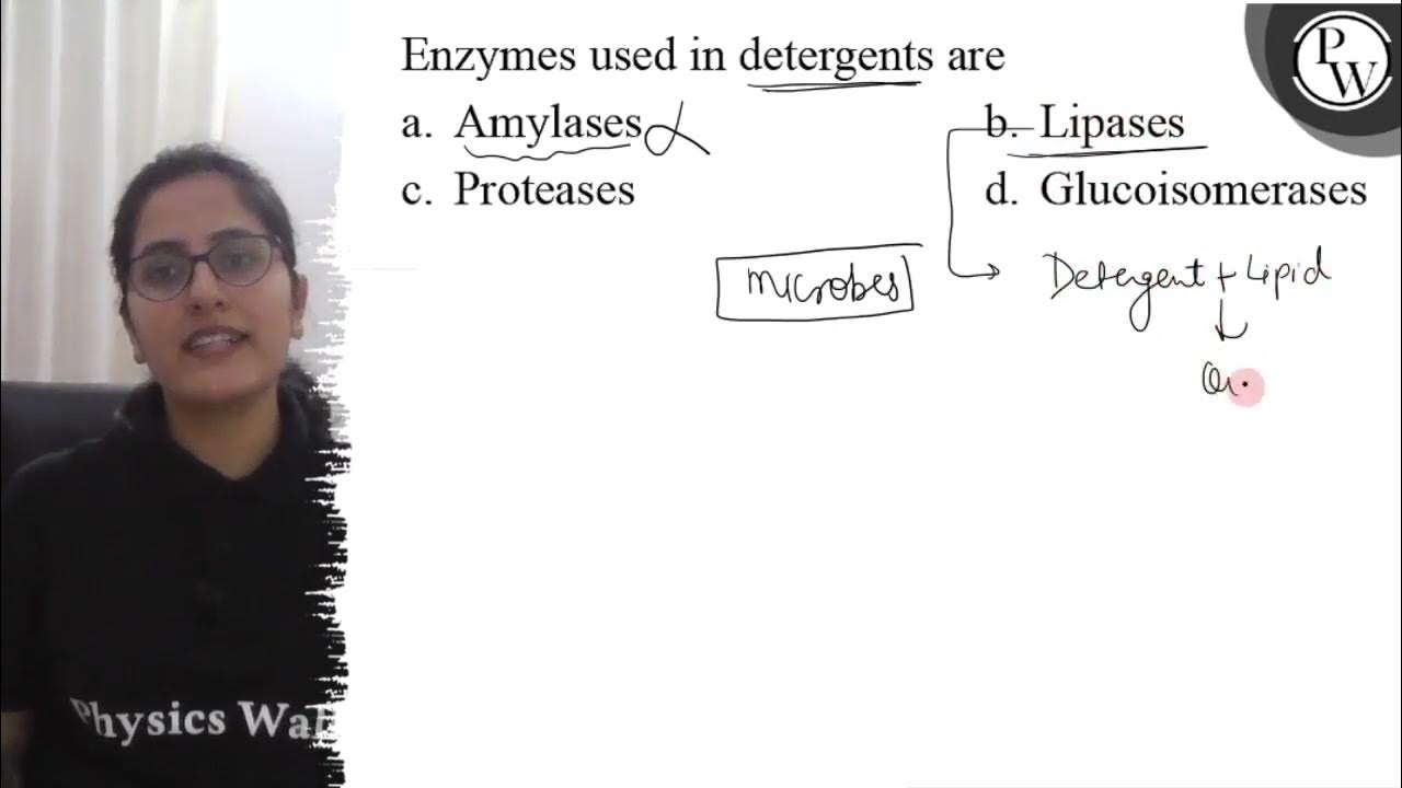 Enzymes used in detergents are a. Amylases b. Lipases c. Proteases