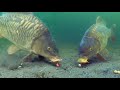 Best underwater fishing compilation 2021 high quality