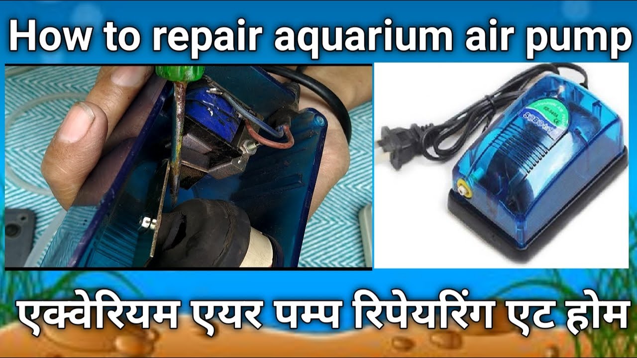 How to repair aquarium air pump। Aquarium air pump ko kaise repair