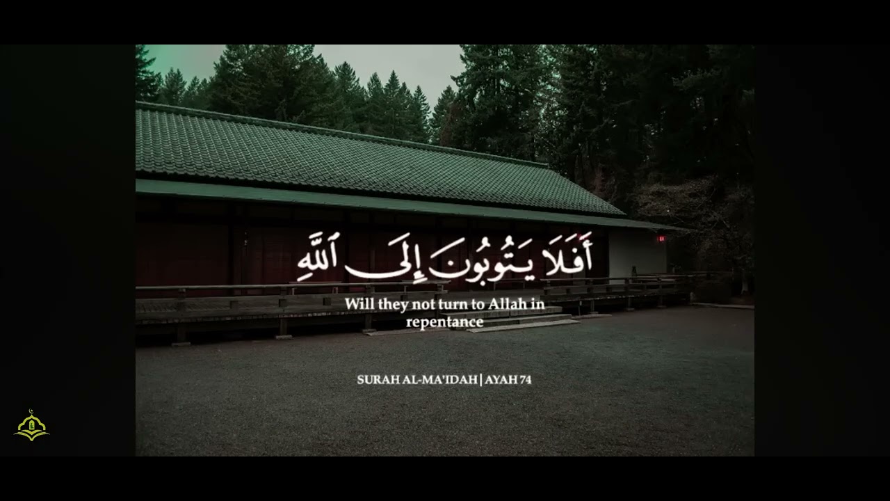 ١٣ يناير، ٢٠٢٦