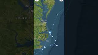 🦈 WHITE SHARK BROOKES PINGS IN OFF KITTY HAWK, NC