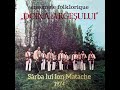 Doina ArgeЕџului Din PiteЕџti SГўrba Lui Ion Matache 1974 Doina ArgeЕџului Din PiteЕџti SГўrba Lui Ion Matache 1974