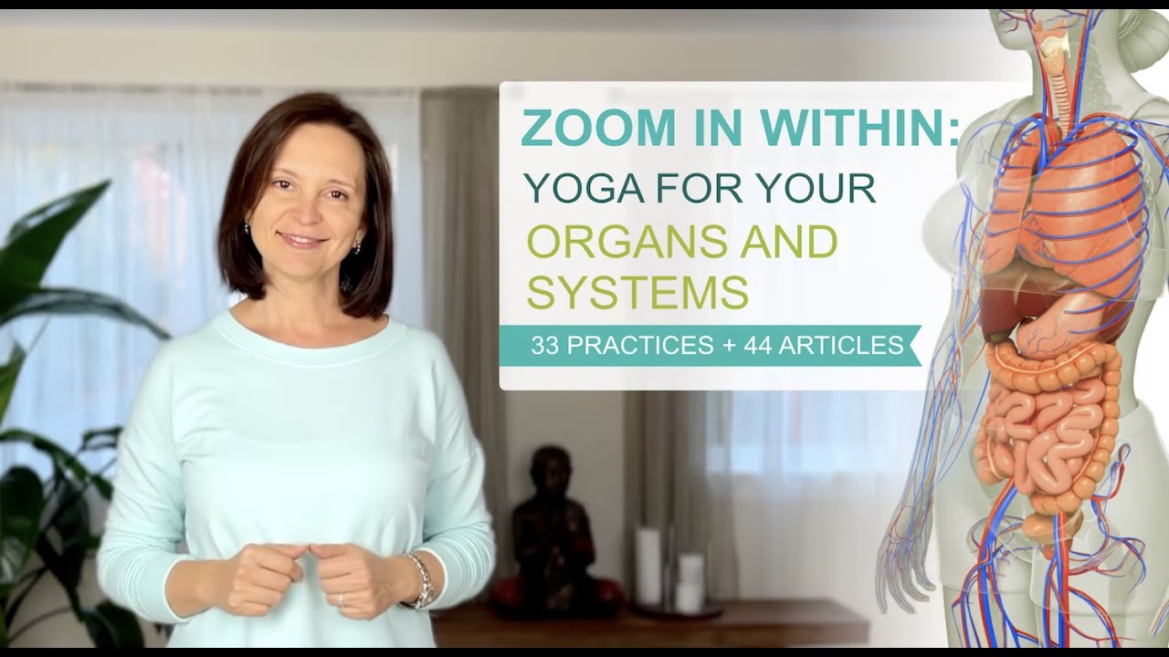 Zoom In Within: Yoga for Your Organs and Systems