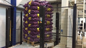 1203 Onion bags 25kg Palletizing Wrapping