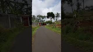 Download Lagu Prjlnn kampoeng sawah MP3