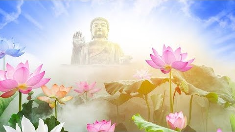 Chương Trình Tọa Đàm Kỷ Niệm 30 Năm Thành Lập GHPGVN : PHẬT GIÁO VIỆT NAM ĐỒNG HÀNH CÙNG DÂN TỘC