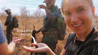 SAFARI Experience of a Lifetime | South Africa