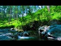 🌊 Soothing Water Sounds for Meditation and Calm Night Ambience 🌙