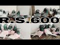 600 rupya par pic for sale pigeons nele kamgar kasuri golden all india delivery available