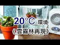 【雲霧林環境①】２０℃のパルダリウム環境を作れるのか？TEGARU Ⅱ導入！Lepanthes calodictyon 《レパンテス・カロディクティオン》のための雲霧林環境