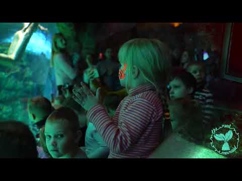 Mermaid show in