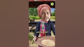 Katanya NEGARA AGRARIS, tapi mirisnya impor beras sampai 3 juta ton?! #shorts  #viral