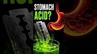 Stomach Acid vs Metal Razor: The Scary Truth! 😱