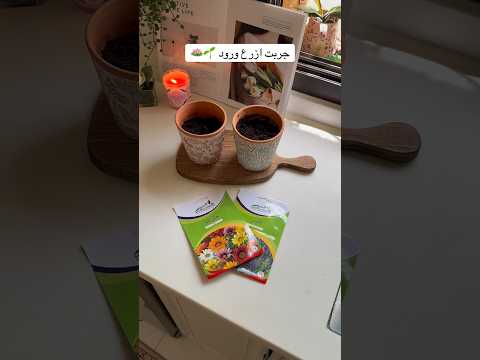 جربت ازرع ورود 🌱🌷🪷