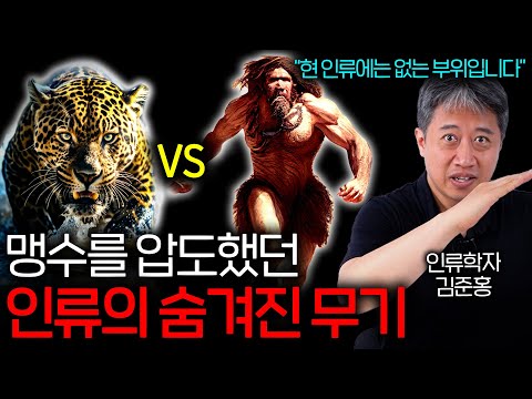 피지컬로 맹수를 압도했던 고대 인류ㅋㅋ(진화의 산물..?)