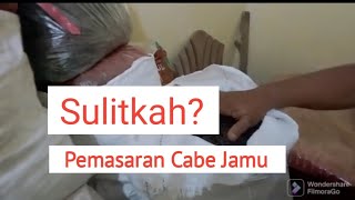 Pemasaran Cabe Jamu