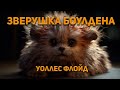 ФАНТАСТИКА. Зверушка Боулдена - Уоллес Флойд