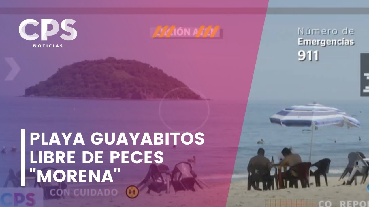 Playa Guayabitos Libre de Peces 