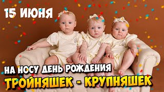 На носу День Рождения Тройняшек - Крупняшек 🎁🎁🎁