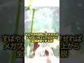 神速のメガブリガロンで上から全部破壊しよう #ポケモンチャンピオンズ