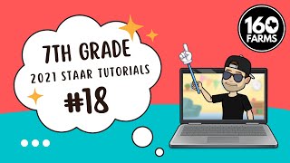 2021 7TH STAAR #18