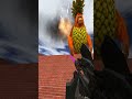 hello nextbot . video no - 136 #unlimited#gamingusa#gmod