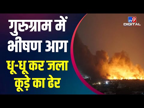 Gurugram के सेक्टर 6 में लगी भीषण आग, झुग्गी-झोपड़ियां समेत कई वाहन जलकर खाक #TV9D