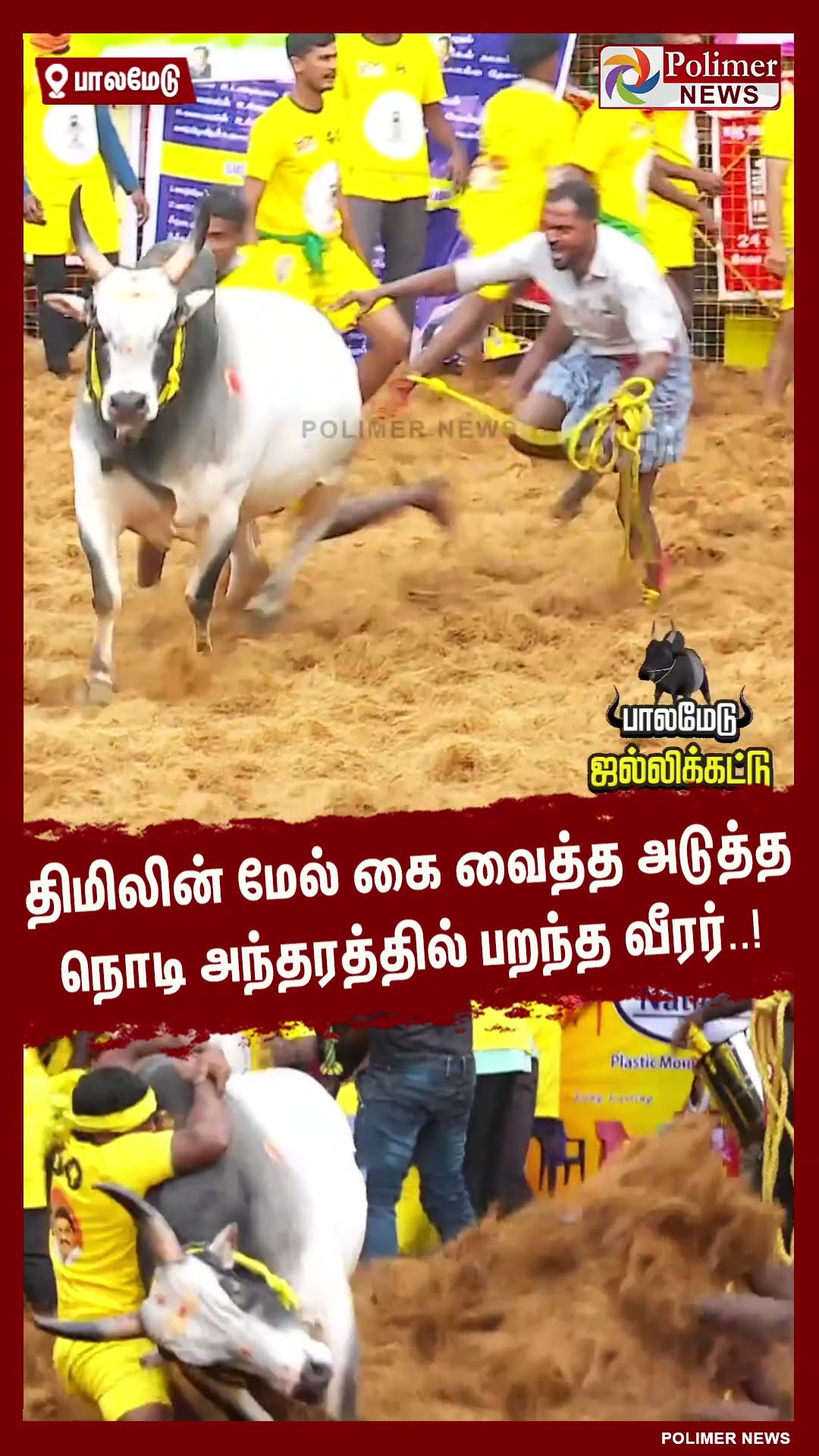 திமிலின் மேல் கை வைத்த அடுத்த நொடி அந்தரத்தில் பறந்த வீரர்..! #shorts | #palamedujallikattu