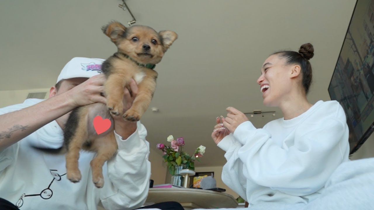 I ADOPTED A PUPPY!! MEET OUR SON LOKI