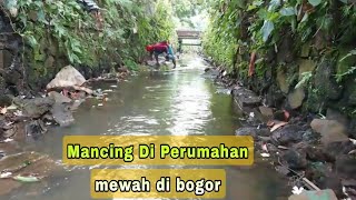 Mancing Belut Di Perumahan mewah di Bogor
