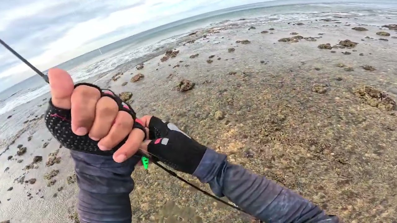 Another Day Another Fishing Vlog