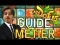 MONTER SES MÉTIERS DOFUS (Guide Complet) - Temps / Kamas / Choix