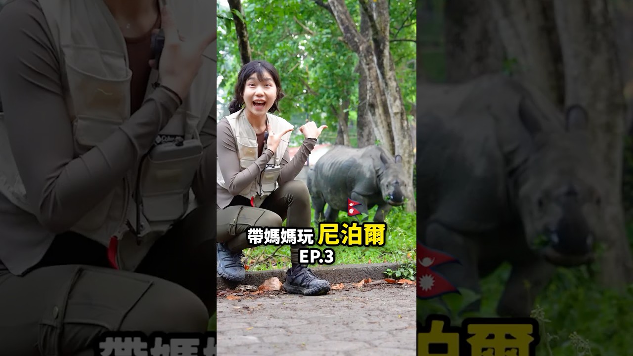 導遊只帶一根棍子帶我們闖進叢林😱 縮圖