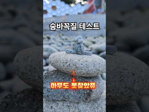 멧챠 카멜레온 현실판 레전드 #mecchachameleon #멧챠카멜레온
