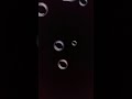بمشيها بمزاجي محمد الشحي 