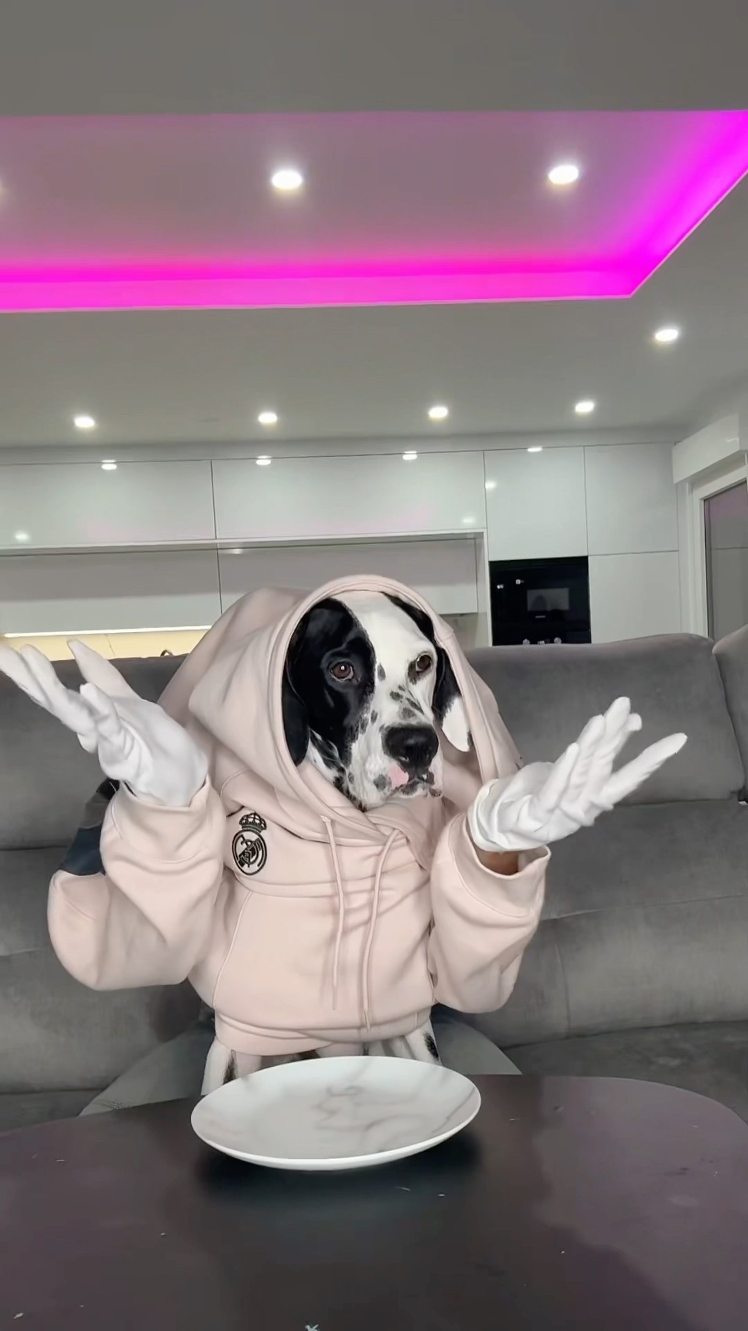 Me llamo Madam, os gustó??