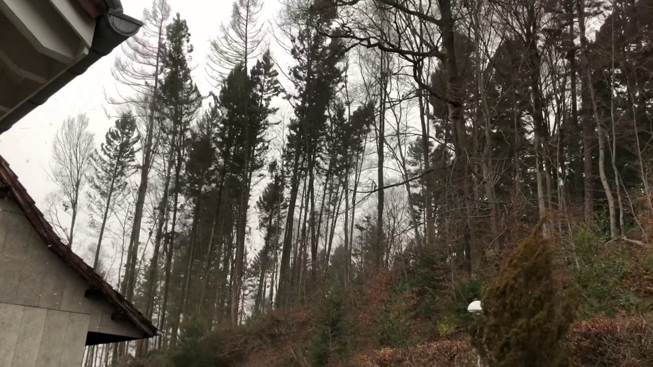 Burglind Zofingen 1/2