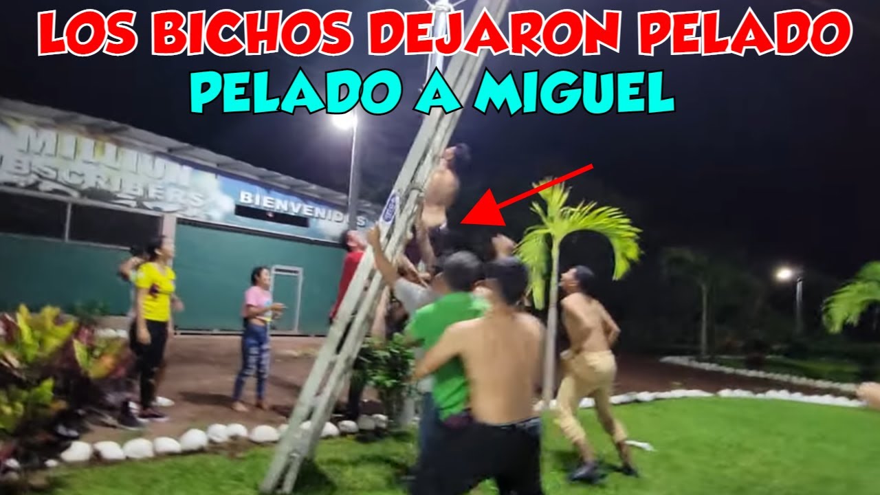 Que gran accidente iba a tener Normita. Pobre Miguel si se la hicieron los bichos. Parte 21
