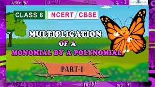 Algebraic Expressions Identities Multiplication Of Monomial By A Polynomial Part-1