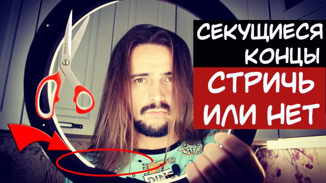 Как часто стричь кончики и нужно ли вообще это делать Зачем я грызу ...