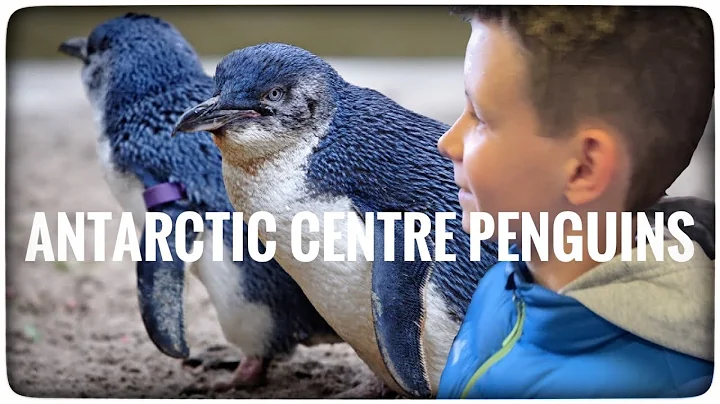 Experiencing a freezing blizzard at the Antarctic Centre.