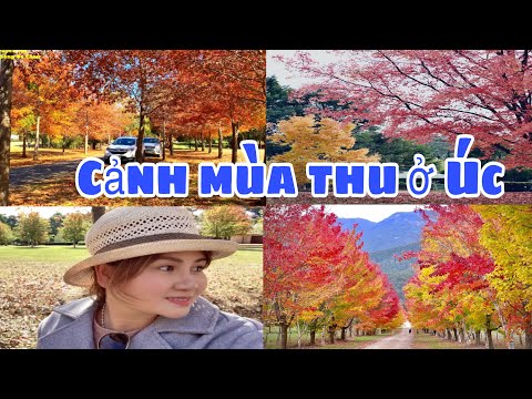 🇦🇺210 Phong cảnh đẹp mùa thu ở Úc - Du lịch Uc 🇦🇺210 Phong cảnh đẹp mùa thu ở Úc - Du lịch Uc