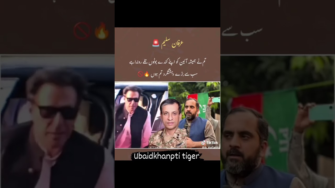 PTI lover Imran Khan fan