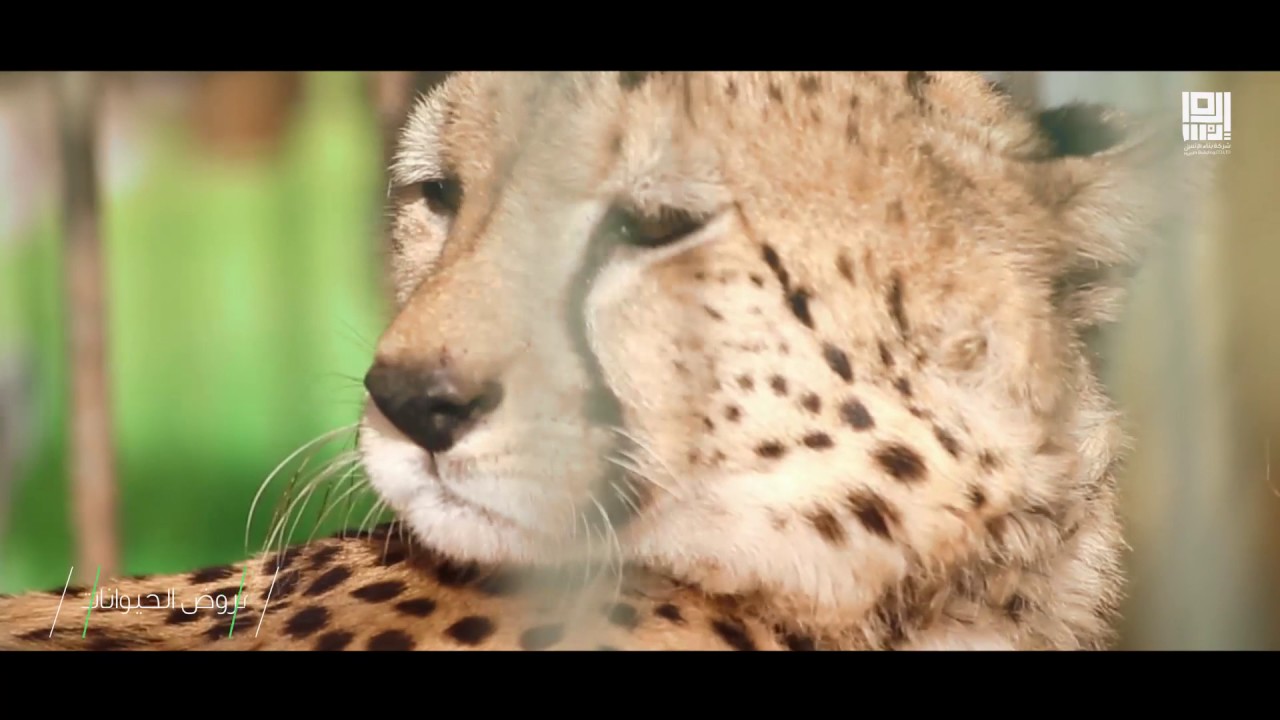 رحلات بناء الإنسان - مزرعة الوادي