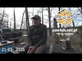 Pszczoły w marcu – kluczowy czas dla siły i rozwoju pasieki