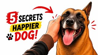 5 Secrets That Instantly Make Your Dog Happier (Most Owners Ignore)🐕