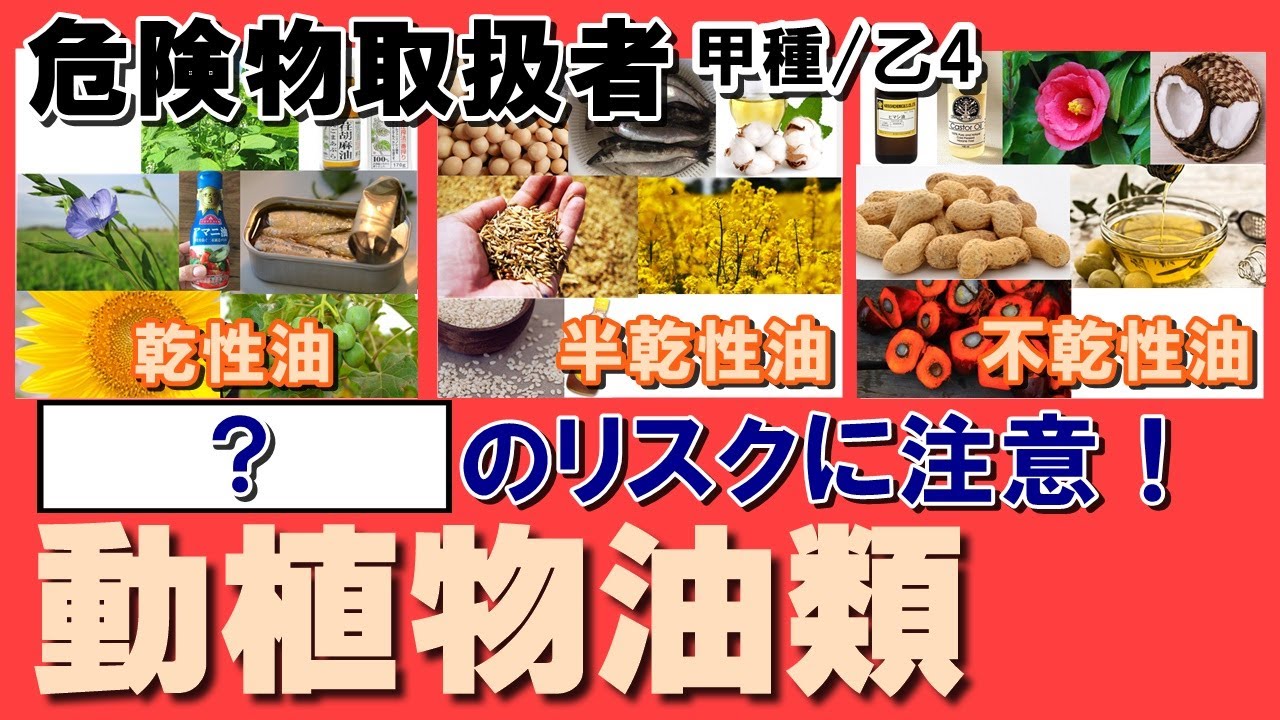 性消11; 【動植物油類】酸化されやすくて〇〇しやすい訳とは⁉︎ 【乙4勉強法】【例題あり】【乙4試験対策】