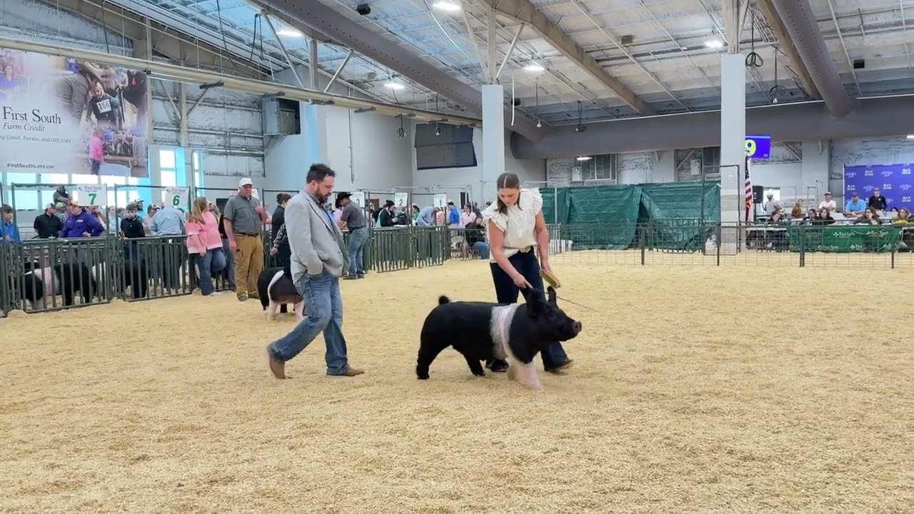 2026 Preston and Kuma Class top 7